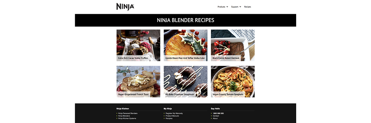 Ninja Website 2