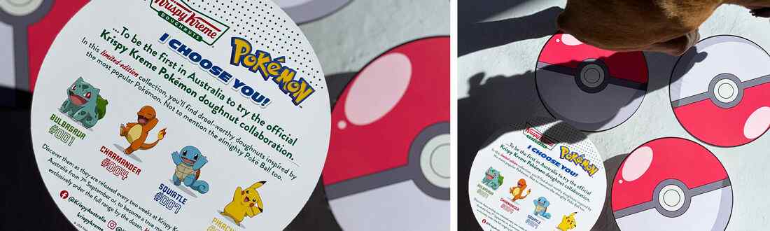Pokemon Flyer