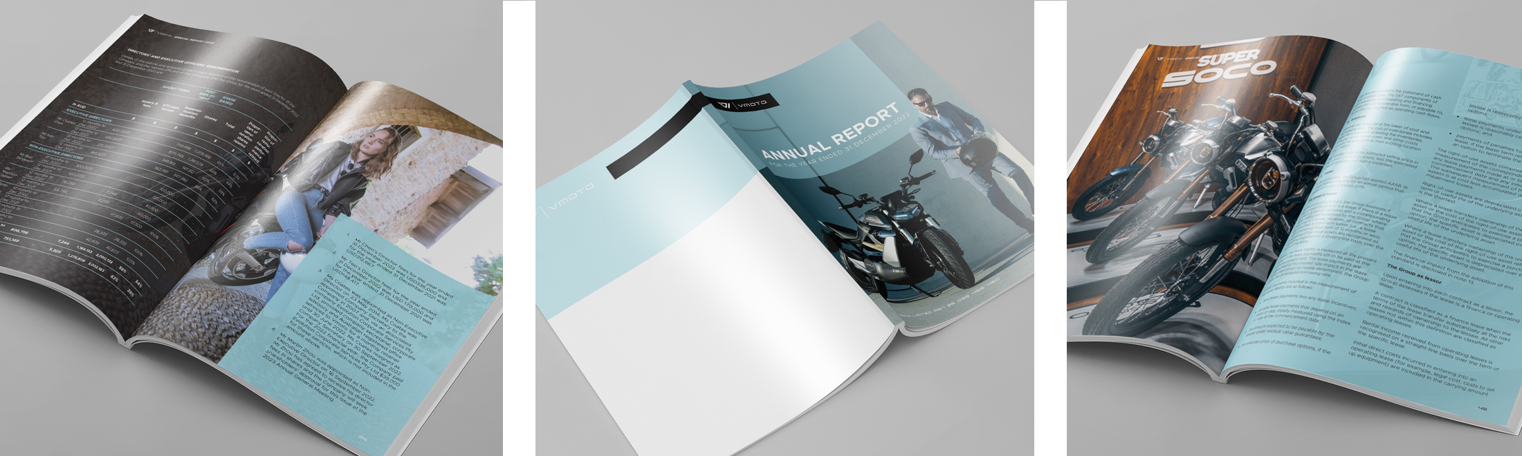 Annual report booklet design 